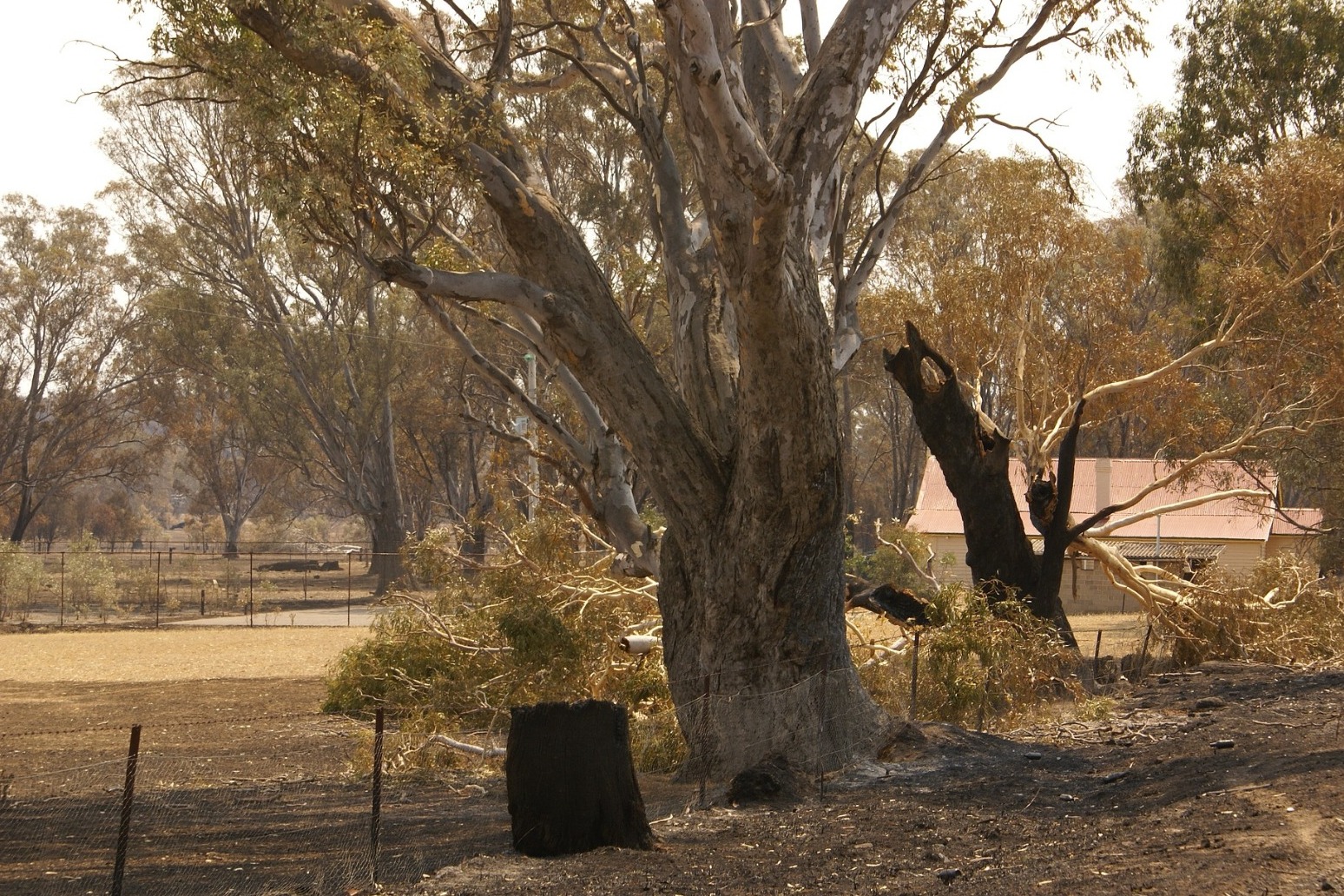 POLICE FIND BODY OF THIRD PERSON LOST IN AUSTRALIAN OUTBACK 